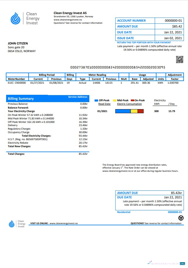 Norway Clean Energy Invest AS utility bill template in Word and PDF format, good for address prove